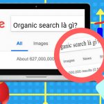 Vai trò của Organic Search là gì trong SEO