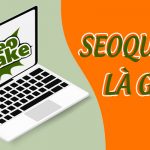 Cách sử dụng Seoquake như thế nào?